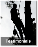 Testimonials